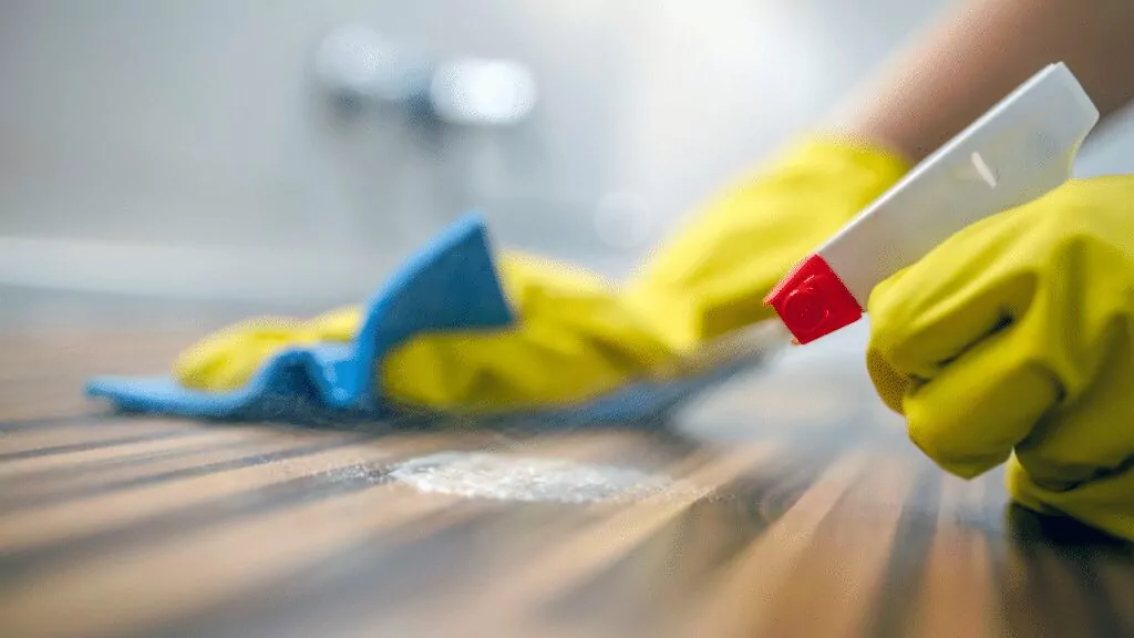 Cleaning Business Software Workever